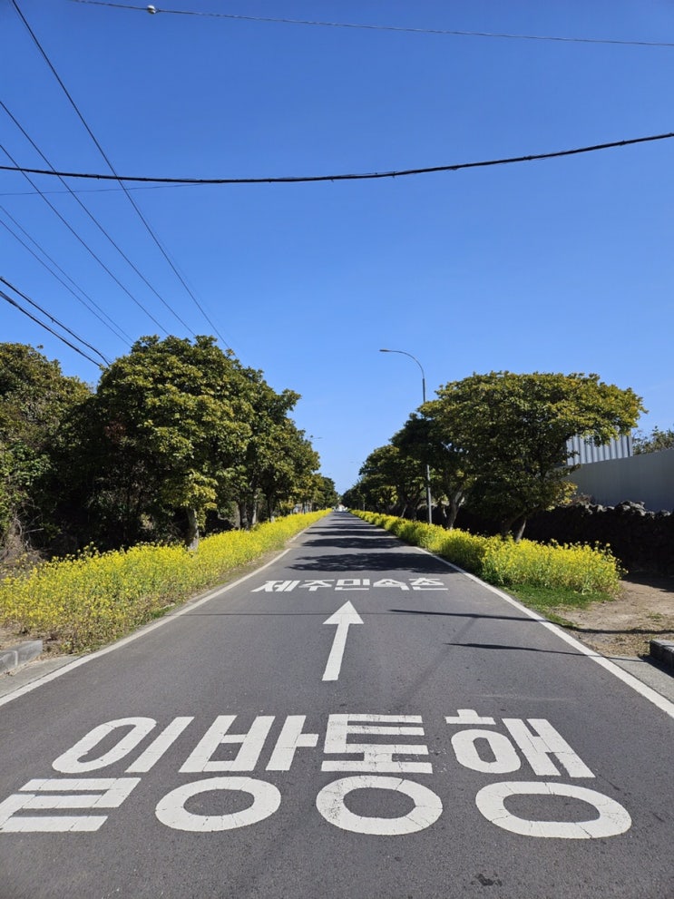  IB중국어_3월 봄, 구술시험