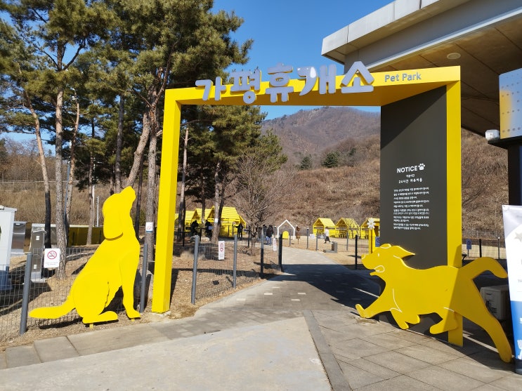  우연히 보게된 가평 휴게소 애견 놀이터