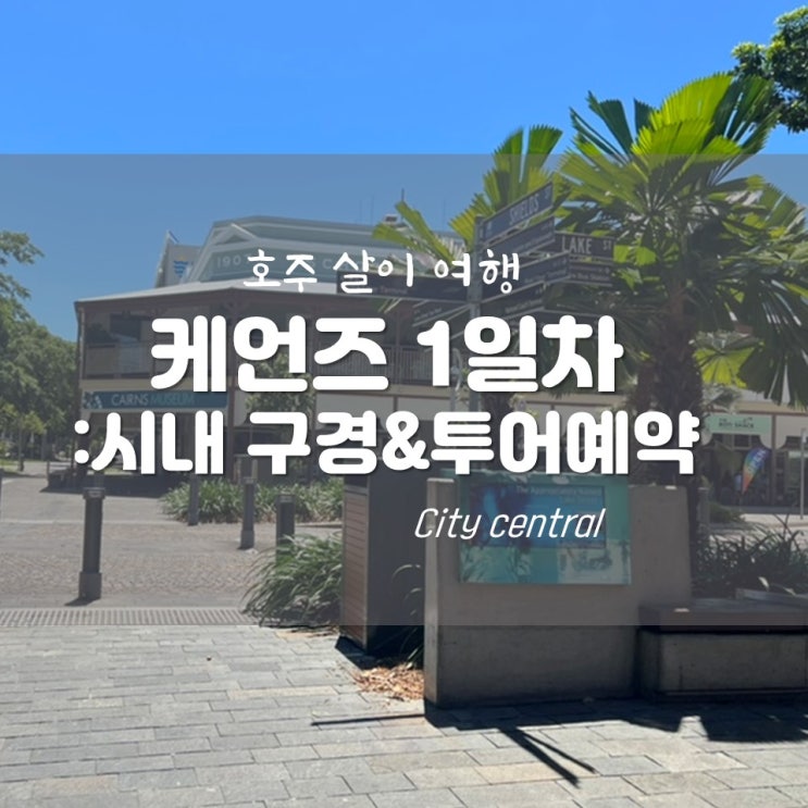  [케언즈 4박5일] 1일차. 여행사 투어 예약, 멀미약 구매, 벌에 쏘인 이야기