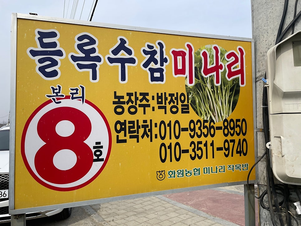 들록수참미나리 사진 1