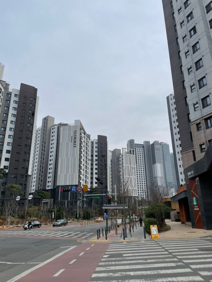  경기도 대장 과천시 임장 후기 (과천시 특징과 1기,2기,3기 재건축 나눠보기)