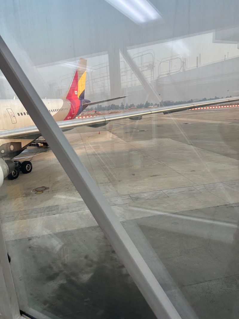 아시아나 OZ1085 하네다공항 일본입국 도쿄 자유 여행 본격적 시작