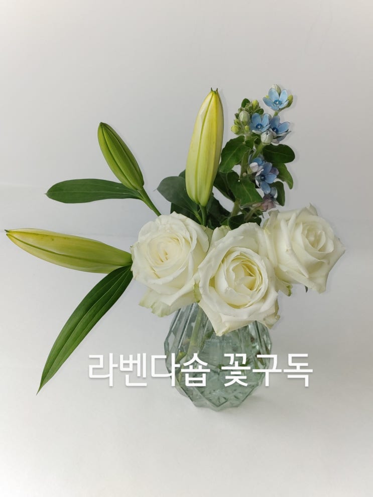  <라벤다숍 꽃구독 정보> 집까지 배송되는 꽃구독