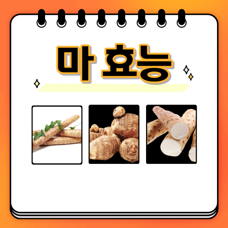 마즙 효능 마가루 마종류 하늘마 먹는법 보관법 부작용 마즙 효능 마가루 마종류 하늘마 먹는법 보관법 부작용