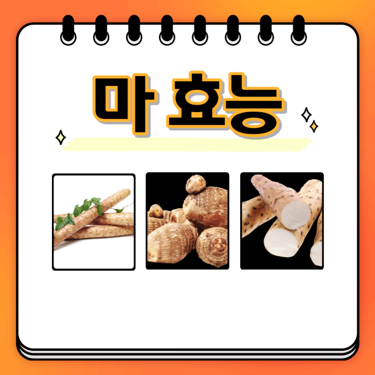 마즙 효능 마가루 마종류 하늘마 먹는법 보관법 부작용