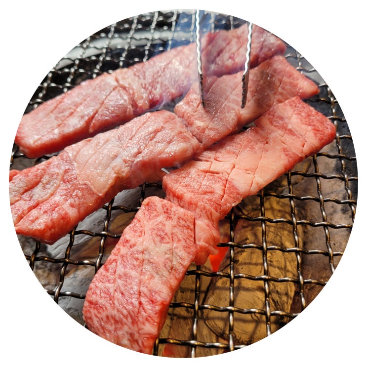  안동 한우 맛집 뉴서울갈비 솔직후기 진짜 여기 가보세요