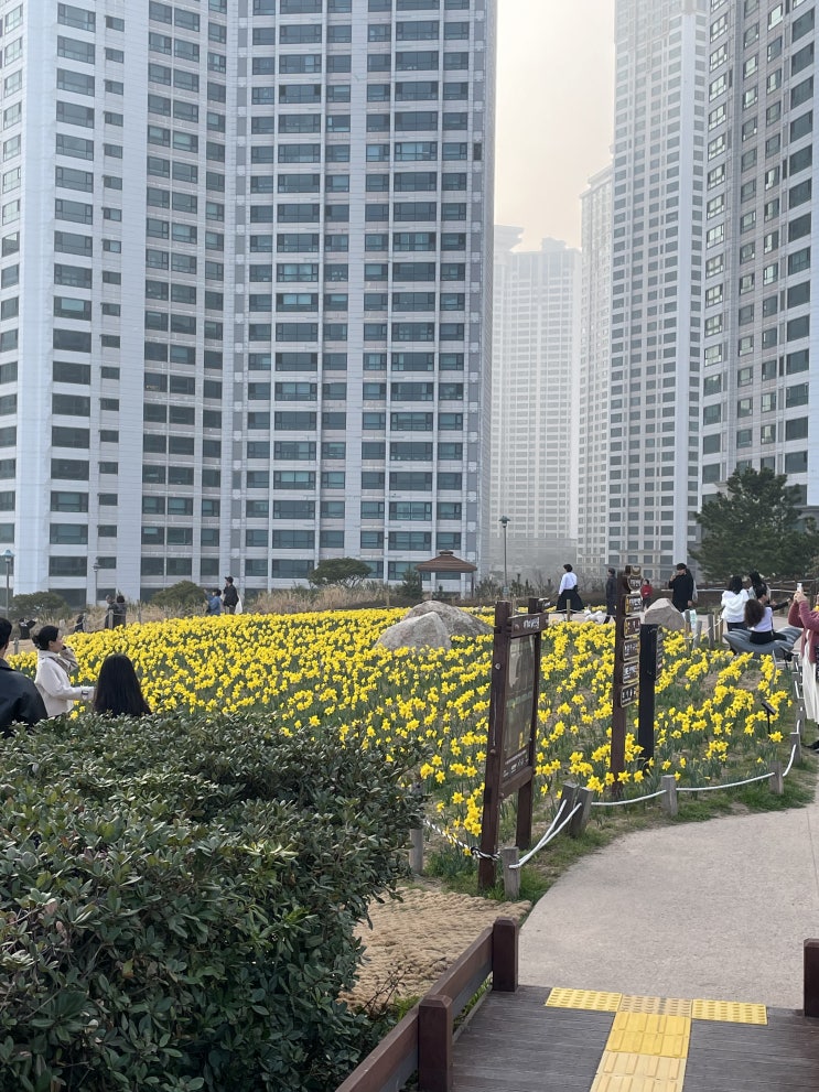  2023.03.11 부산 오륙도 스카이워크, 해맞이공원에 가다