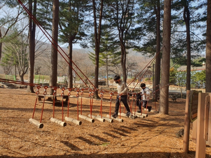유명산 자연휴양림 (산돼지) 여행후기