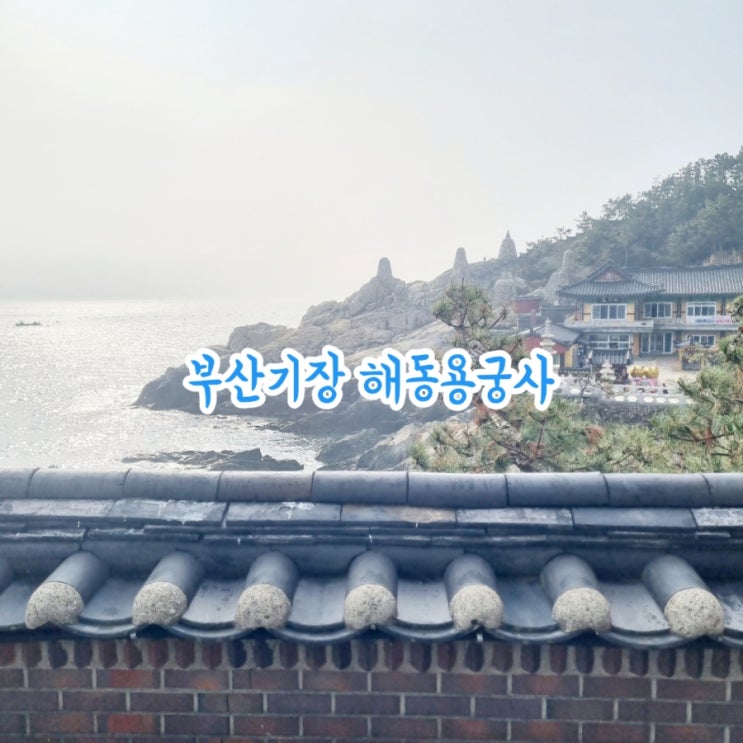  부산 바다뷰맛집 해동용궁사 feat 해안사찰