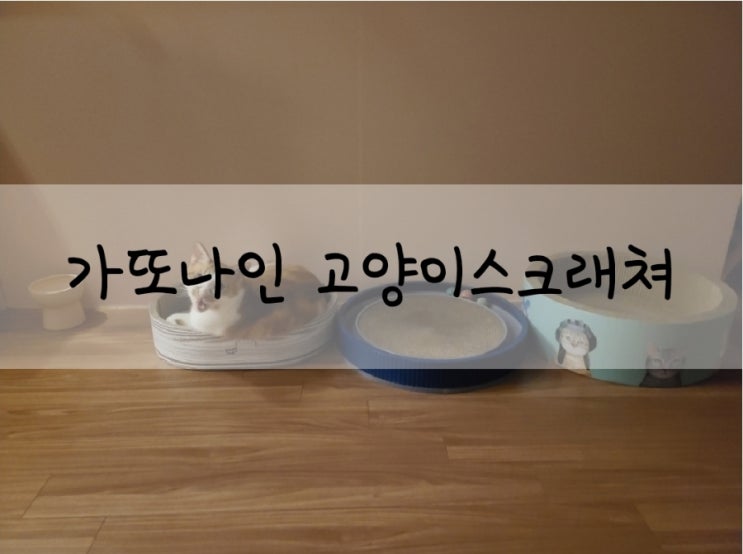  고양이용품 고양이스크래쳐 가또나인 모카 에그스크래쳐