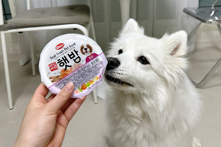  애견비책 햇밥 노령견도 먹기 좋은 부드러운 습식사료 내돈내산