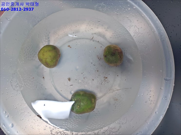 오늘 점심 토마토 스파게티 오늘 점심 토마토 스파게티