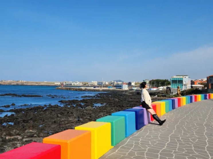  봄 제주도 2박 3일 여행 : 여행 코스 추천 포토존 추천 - 1편