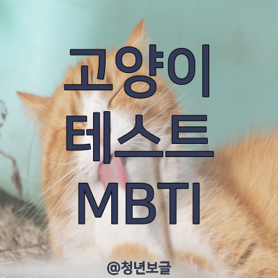 고양이 테스트 MBTI 확인 방법 - snack test 내가 고양이라면 ?
