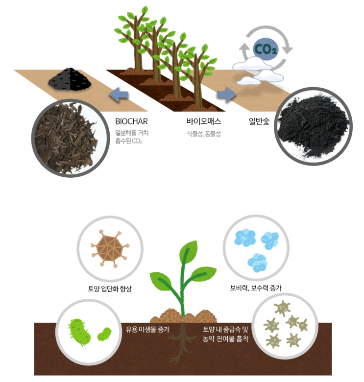 토양과 대기를 살리는 바이오차! 이산화탄소 배출 0!식목일 대비 화분 갈이엔 바이오차!