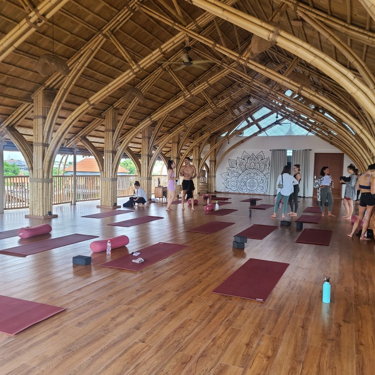 발리 요가원 5곳 리뷰 : 5-2 짱구 요가원 Radiantly Alive Yoga Studio Changgu (위치, 요금, 예약방법 등)