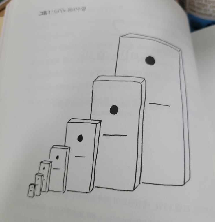 도미노 효과 도미노 효과