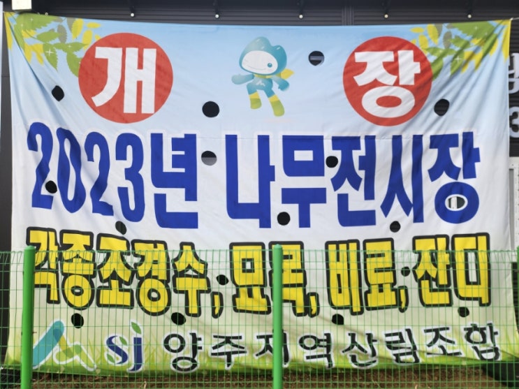  양주지역산림조합 나무 묘목시장 개장