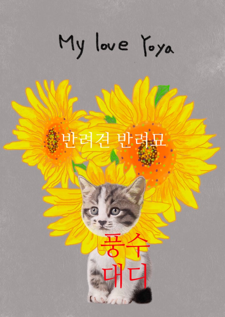  풍수 그림 속 반려동물 초상화 고양이 강아지 그림 선물