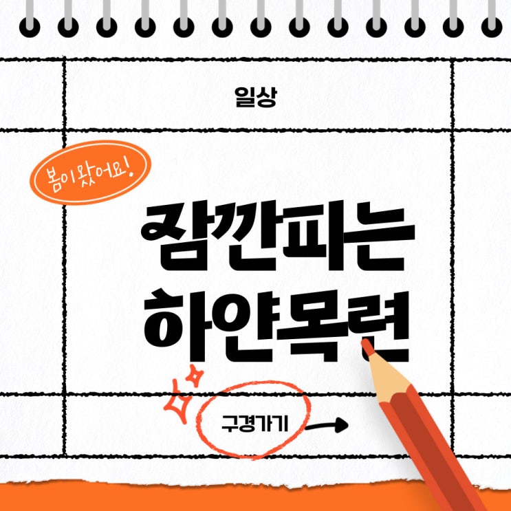  [해운대옥돌미] 하얀 목련이 필 때면 다시 생각나는 사람이 있으세요? 바쁜 일상에서 잠시 쉬어가세요^^