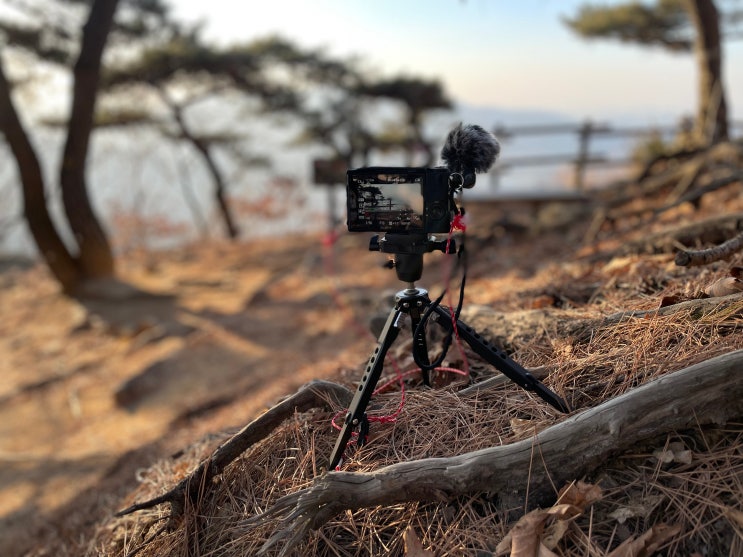  일상부터 백패킹, 산행까지 한 손에 들어오는 미니 삼각대 Leofoto MT-03 (MTB-19 볼헤드) I 레오포토 스파이더 트라이포드 I spider tripod, PC-20