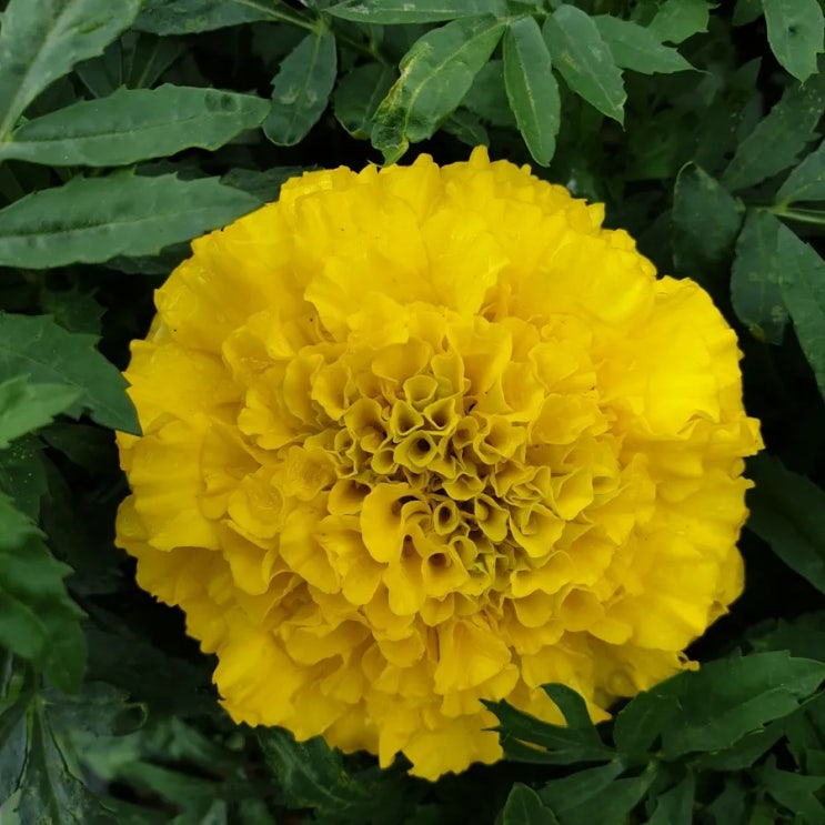  제주도 지하수 미세플라스틱 논문으로 본 효율적 연구