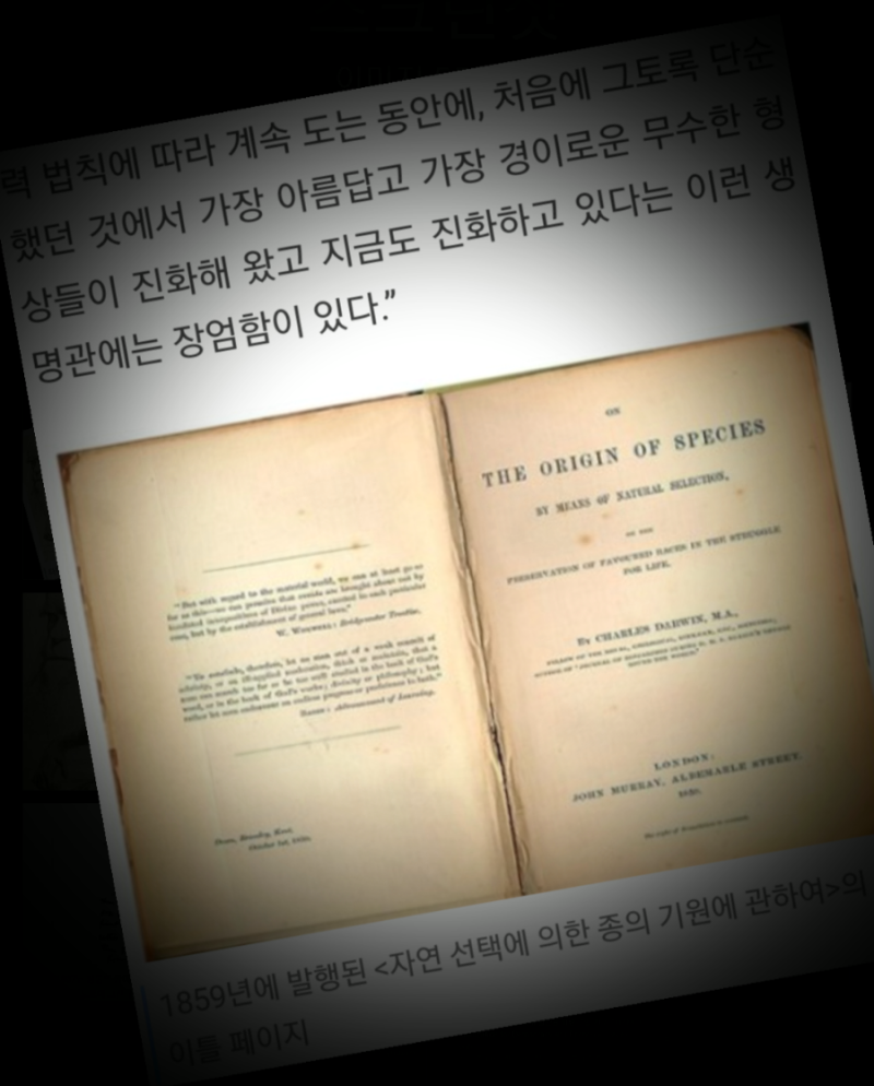 진화론 에볼루션 다윈이 종의기원에서 말한 진화에는 진보한다라는 의미가 담겨있지 않다. 더 낳아진다는 개념이 아니라 그냥 우연히 운좋게  그렇게 전개 되었을 뿐이라는 뜻이지 진보 아님 : 네이버 블로그