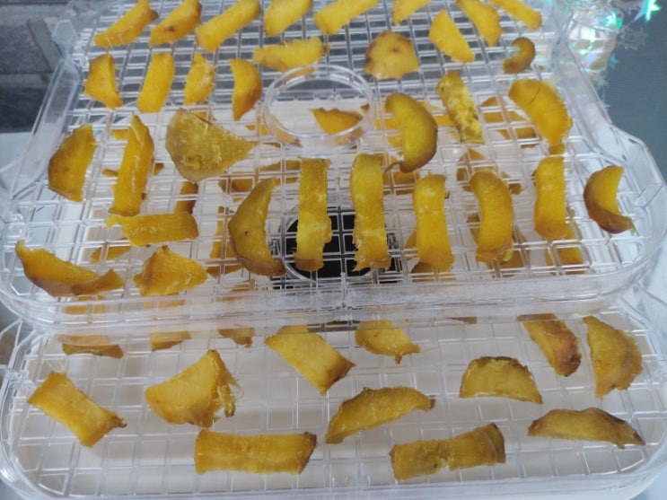  고구마 말랭이 만들기