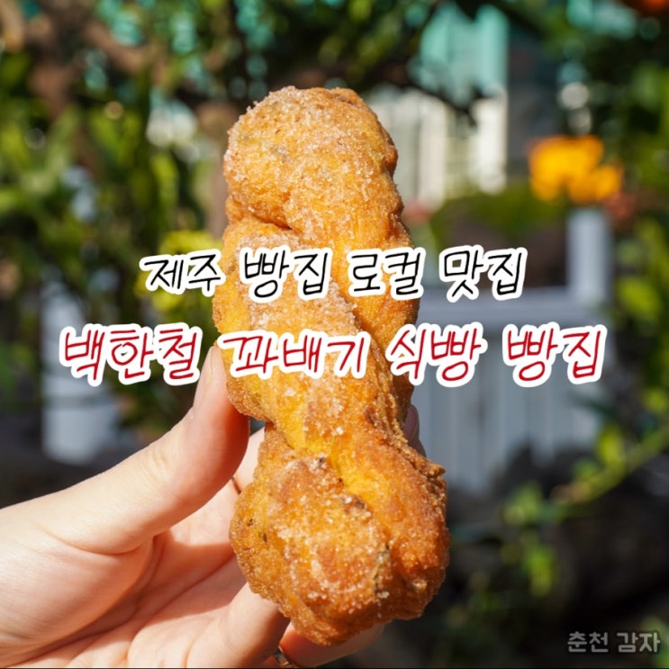 제주 빵집 로컬 맛집 백한철 꽈배기 식빵 맛집
