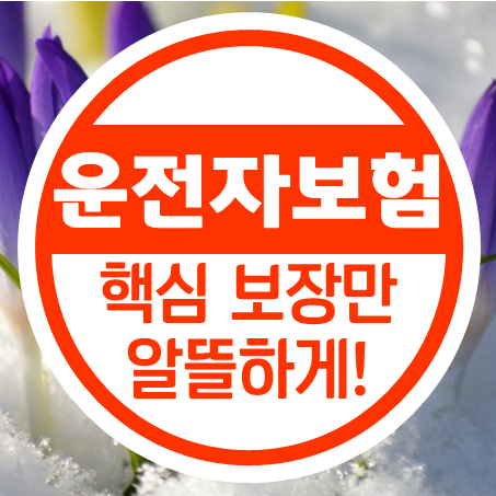  운전자보험 가격 얼마인지 20대 운전자보험 설계부터 노인분들까지 비교 후 가입하세요.