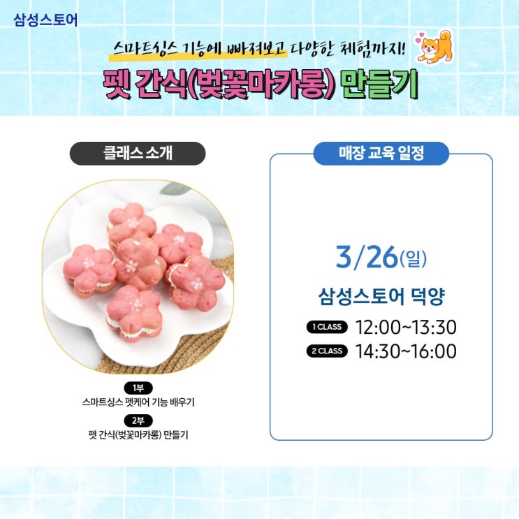  삼성스토어에서 펫푸드 원데이 클래스 진행합니다