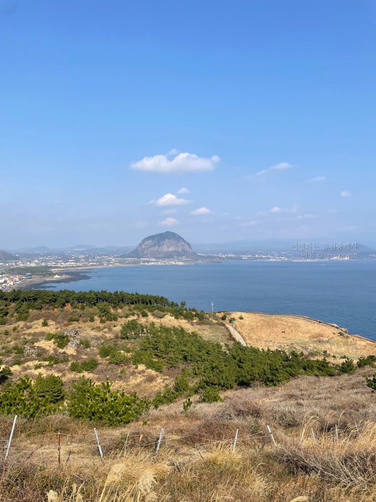 송악산 둘레길 소요시간 및 관광정보 총정리 송악산 둘레길 소요시간 및 관광정보 총정리