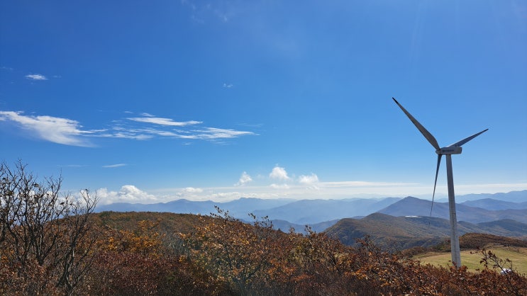  법률상담-부동산 명의신탁의 효력과 명의신탁자의 명의수탁자에 대한 손해배상청구 가능성