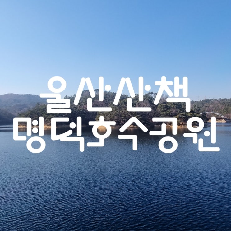  울산 산책로 명덕 호수 공원 염포산 등산도 가능해요.