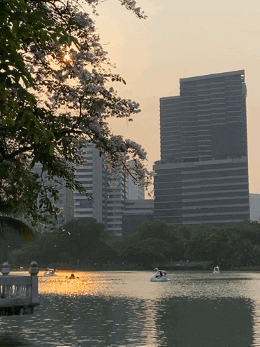 안녕하세요 태국여행중 올리브리입니당