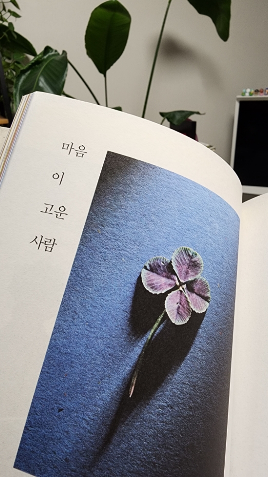 마음이 고운 사람이 결국 승리하게 된다 마음이 고운 사람이 결국 승리하게 된다