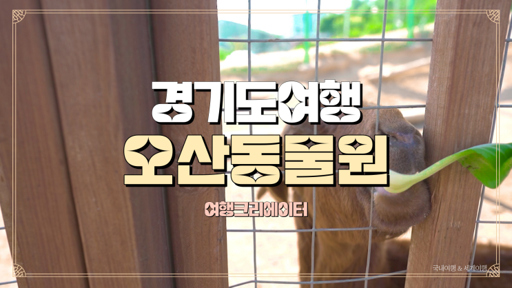  경기도 오산 동물원 오마이주, 주말 아이들과 가족 연인끼리 방문하기 좋은 핫 플 여행지 추천 코스, 데이트 코스 관광지, 인생네컷, MZ 세대