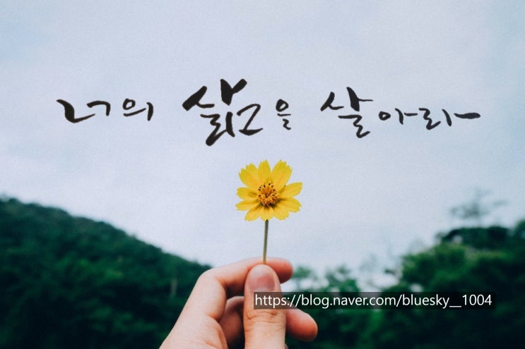  [힐링&마음 치유] 초보의 캘리그라피-서시,윤동주/감성시, 별을 노래하는 마음으로 모든 죽어가는 것을 사랑해야지
