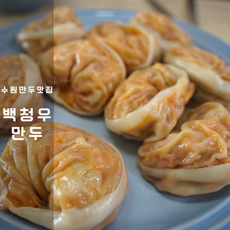 백청우 수원만두맛집 군 찐 김치 고기 만두