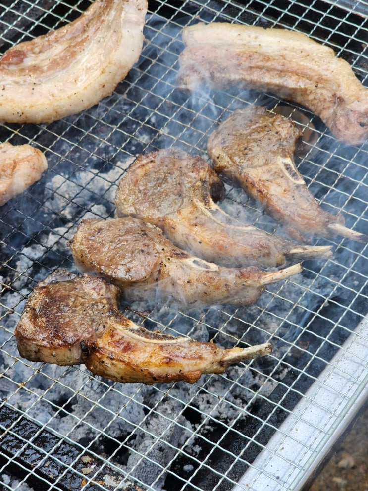  야외 숯불구이용 프렌치랙 추천: SHEEP-새끼