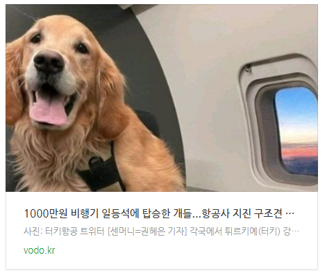 [저녁뉴스] 1000만원 비행기 일등석에 탑승한 개들...항공사 "지진 구조견 예우"