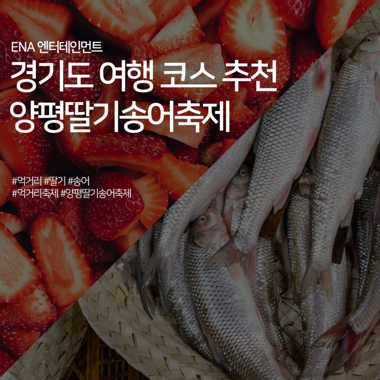  온 가족이 즐길 수 있는 양평 딸기송어축제! 요금 및 정보