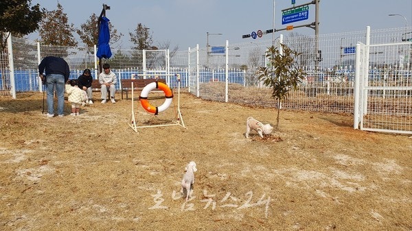  순천만국제정원박람회, 4월부터 전국 관광지 최초 반려견 돌봄서비스 제공