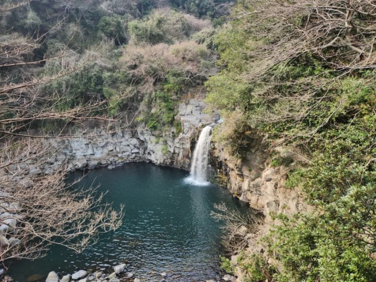  봄 제주도 2박 3일 여행 : 여행 코스 추천 포토존 추천 - 2편