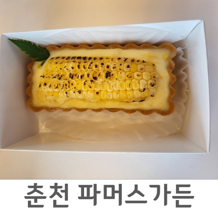  고소한 옥수수타르트 파머스가든(춘천빵지순례#2)