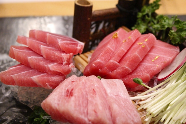  강아지 참치, 참치캔 먹어도 되나요?