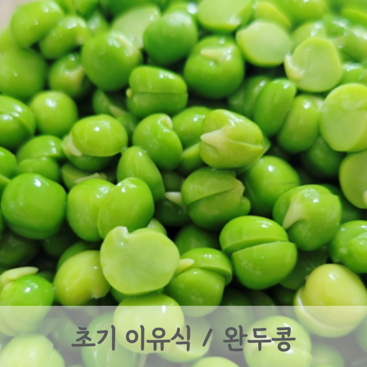  [초기이유식] 완두콩 미음 레시피 (완두콩 큐브, 완두콩 토핑, 베이비무브)