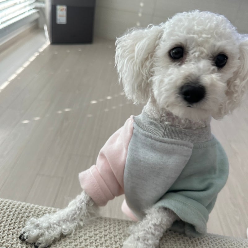 사진 2