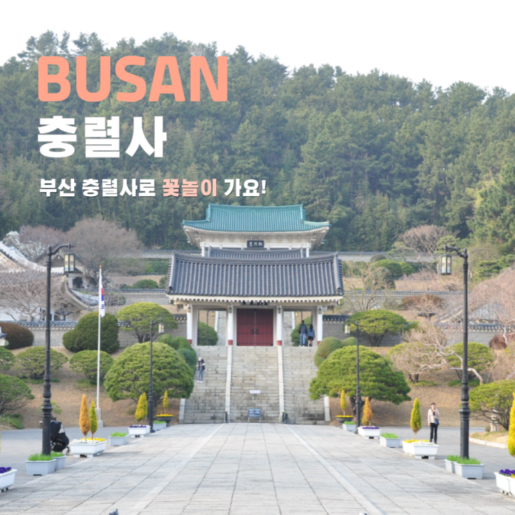  부산 충렬사 봄꽃 매화 명소