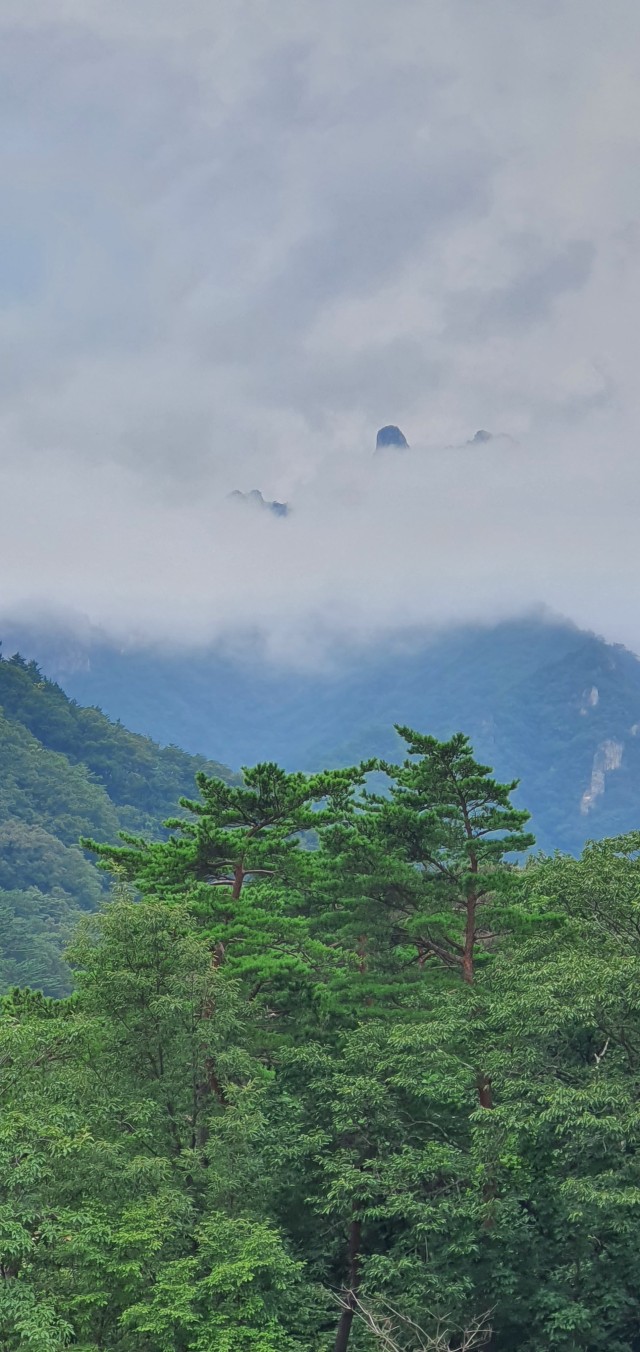  산이 되어 - 화수필